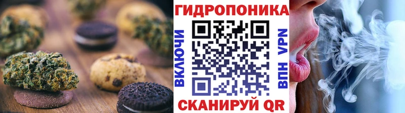 наркотики  Нижняя Тура  Canna-Cookies конопля 