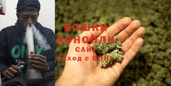 PSILOCYBIN Нязепетровск