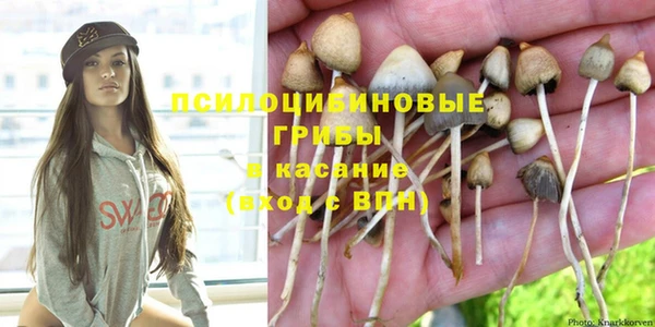 PSILOCYBIN Нязепетровск