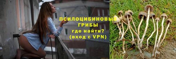 трава Нягань