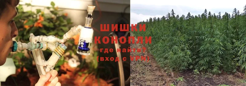 Канабис White Widow  даркнет сайт  Нижняя Тура 